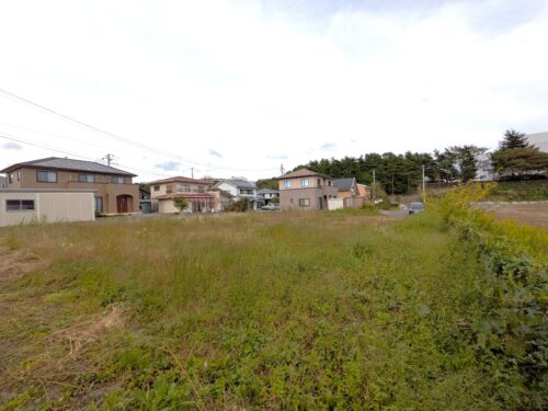 小田倉大平売り地
